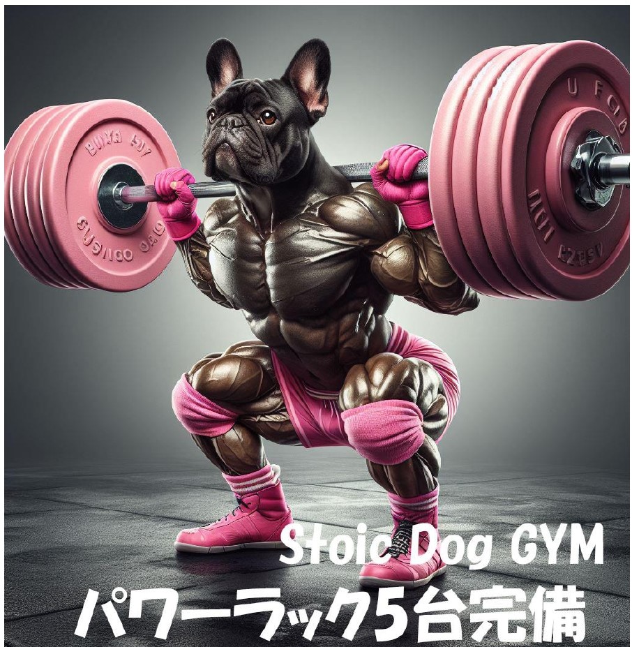 Stoic Dog Entertainment GYM