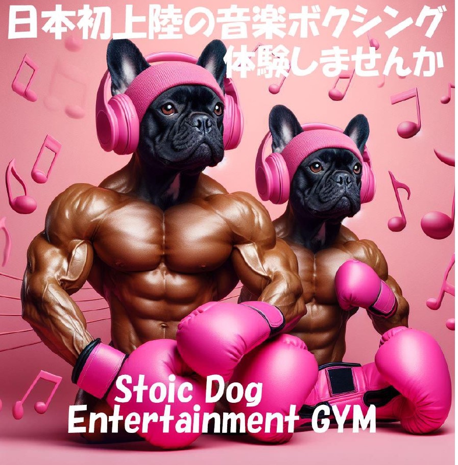 Stoic Dog Entertainment GYM