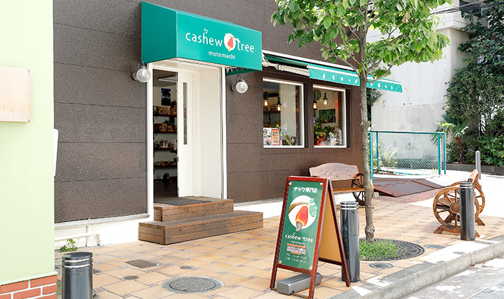 cashew tree motomachi