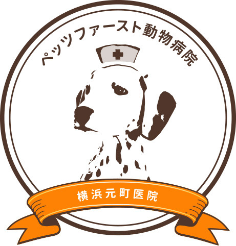 Petsfirst Animal Hospital Yokohama Motomachi Clinic
