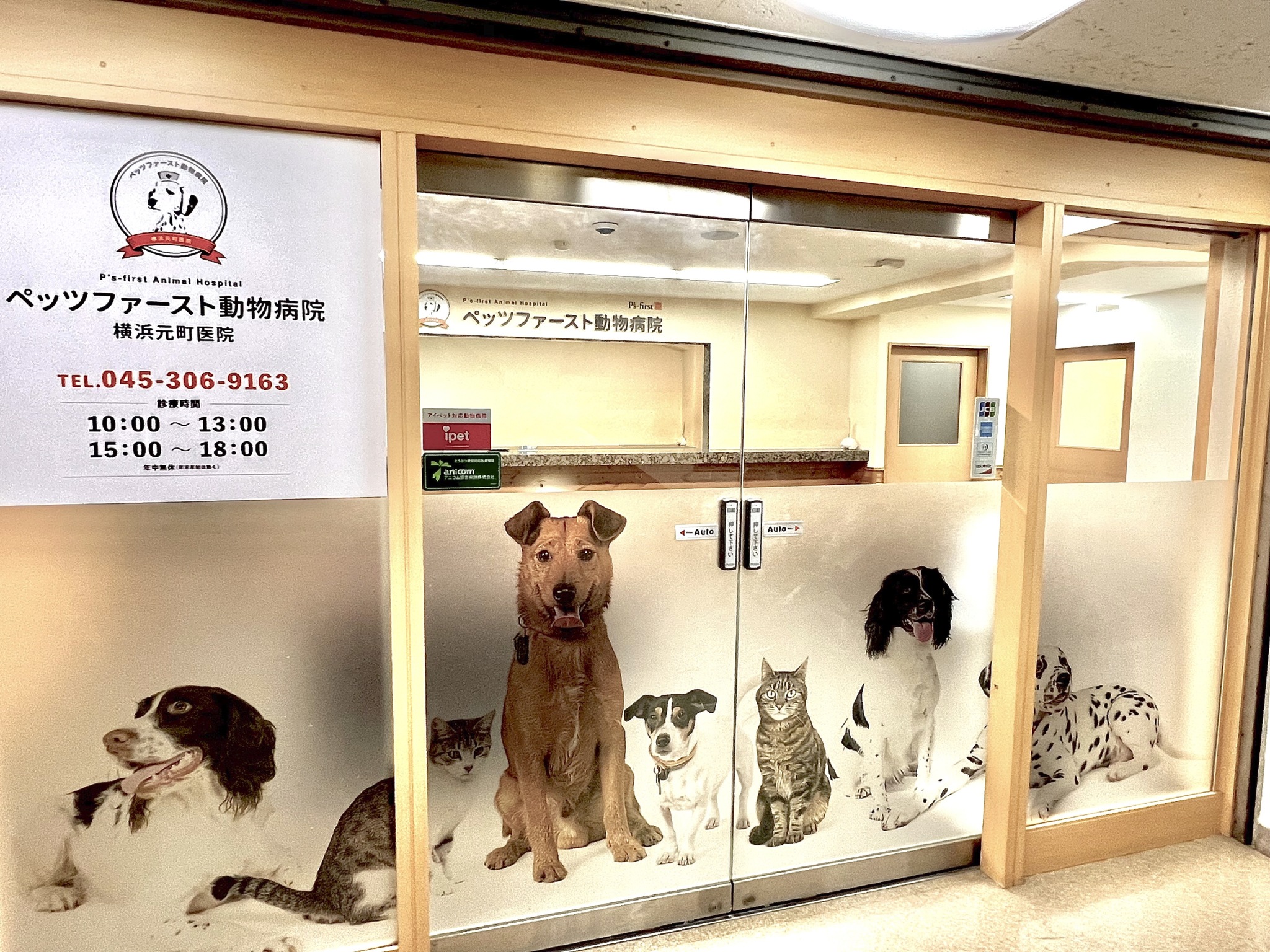 Petsfirst Animal Hospital Yokohama Motomachi Clinic