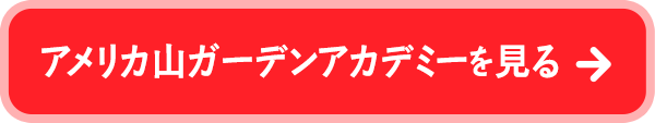 アメリカ山ガーデンアカデミーを見る