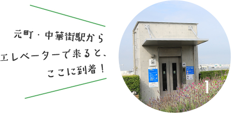 元町・中華街駅からエレベーターで来ると、ここに到着！