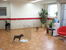 Dog Care House Motomachi