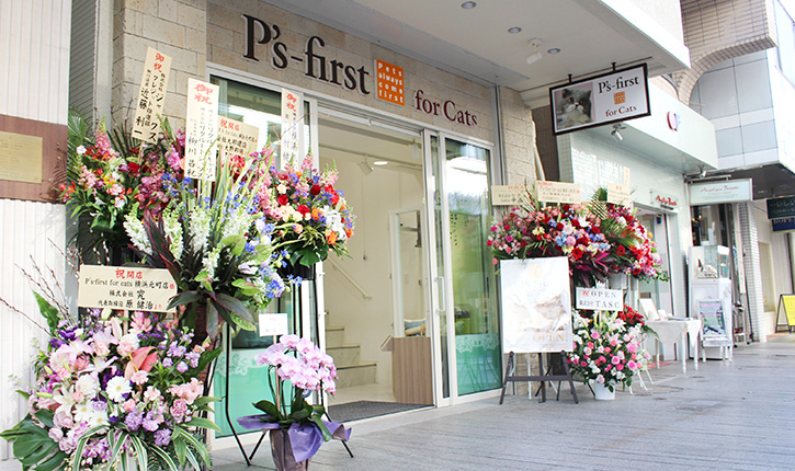 P's-first for cats　横浜元町店