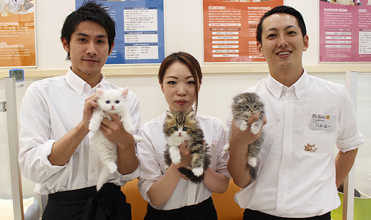 P's-first for cats　横浜元町店