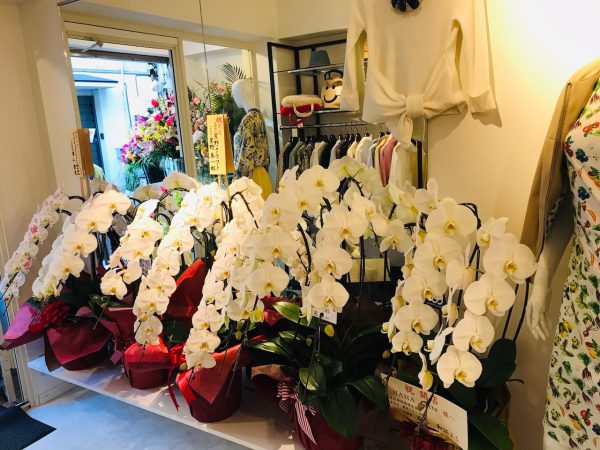 HAHA　datte　motomachi