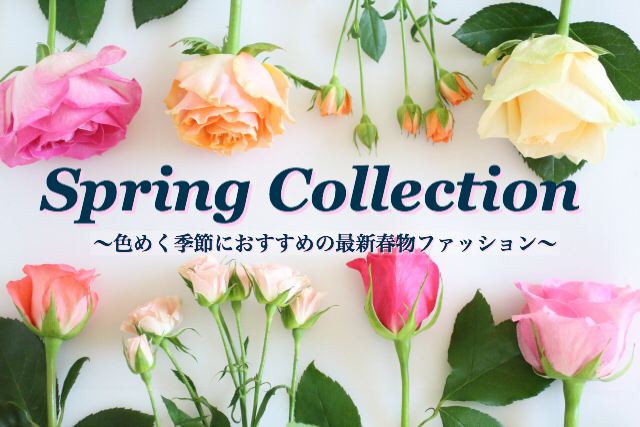 26春物コレクション