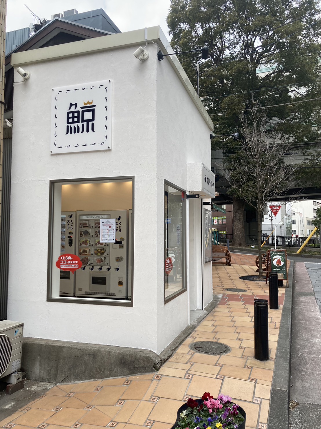 くじらストア横浜元町店