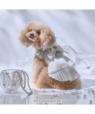 PET PARADISE + BEAUTY 横浜元町店