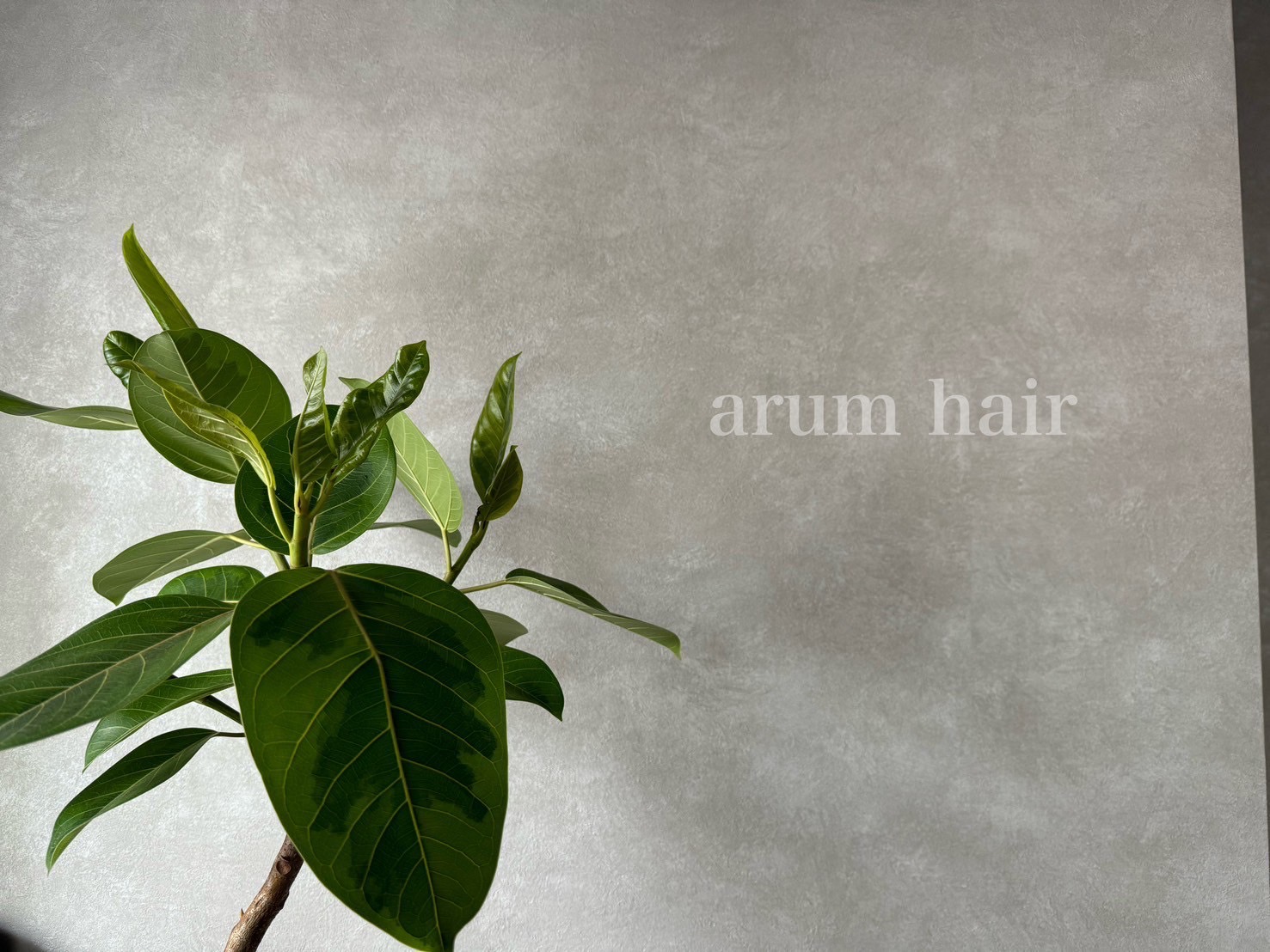 arum hair lounge by em